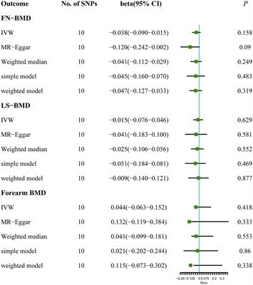 Amyotrophic lateral sclerosis and osteoporosis: a two-sample Mendelian randomization study